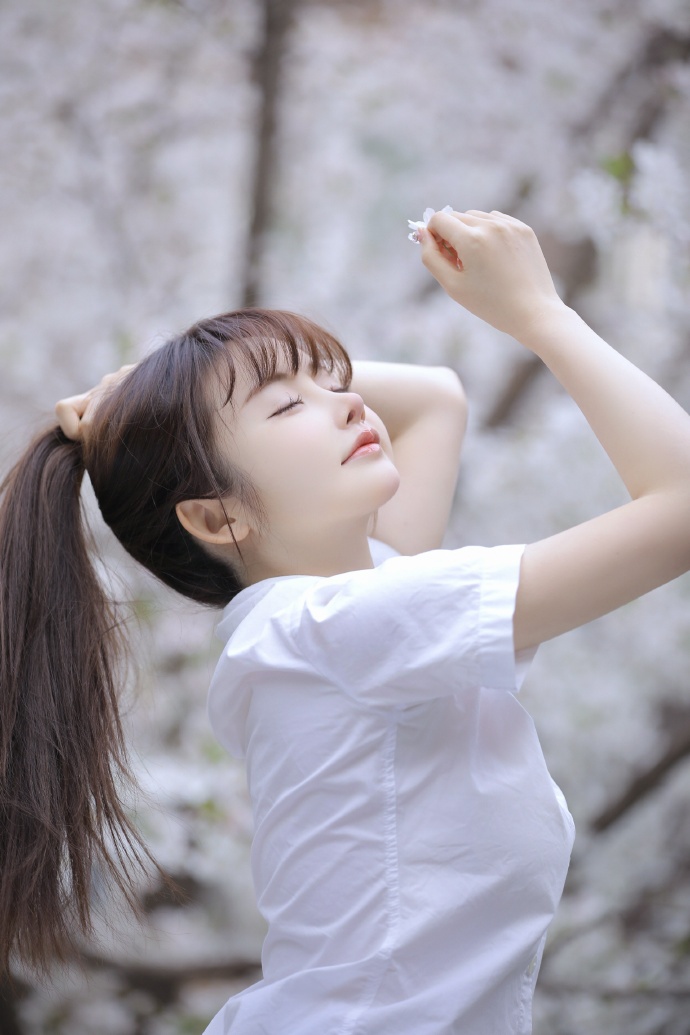 信条